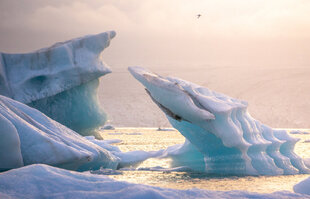 Jokulsarlon Diamond Beach