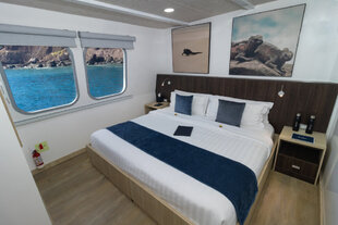 natural-paradise-cabin-main-deck-galapagos-yacht.jpg