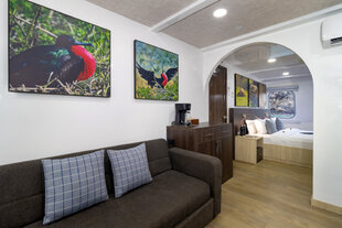 natural-paradise-junior-suite-main-deck-galapagos-yacht.jpg