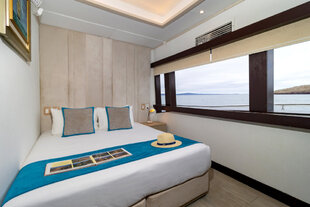 Grand Majestic Window Cabin