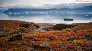 MS Spitsbergen in East Greenland - HX Expeditions - Kay Fochtmann