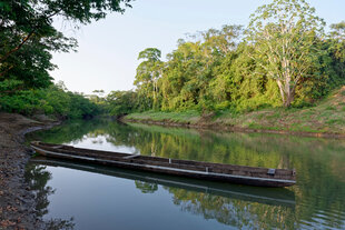 A canoe on a river in the Darien Lowlands