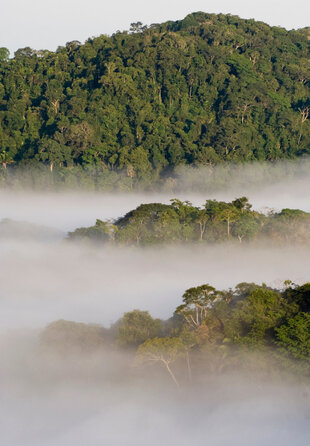 Clouds filling the valleys of Soberania National Park