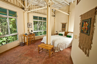 The Harpy Suite at Canopy Tower