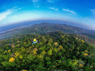 Canopy Tower