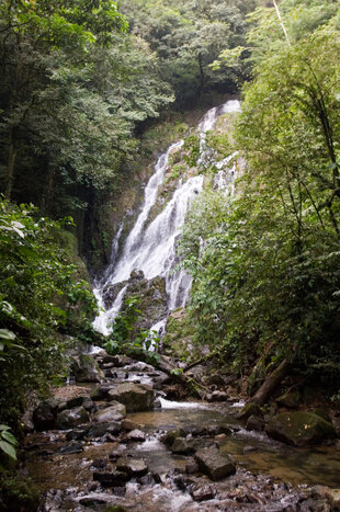 Chorro el Macho Waterfall running through the forest