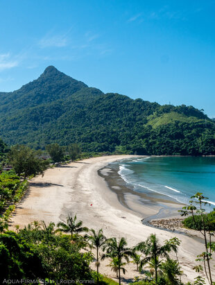 Atlantic coast rainforest in Brazil