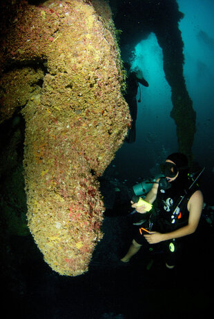 Underwater Stalactites