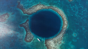 Reef Diving