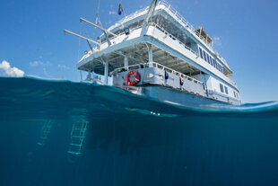 Diving off Belize Aggressor IV