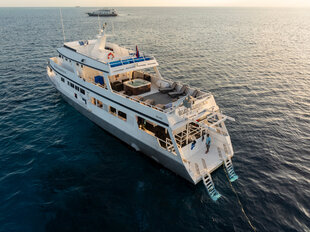 Belize Aggressor III