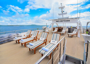 The Sun Deck