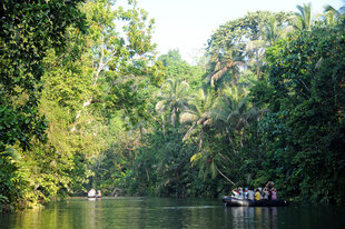Zodiac Cruise on the Sepil River - A Russ