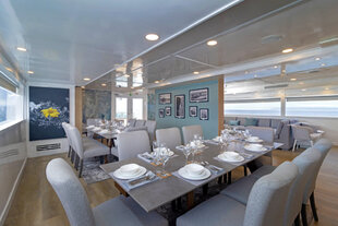 Galapagos Sea Star Dining Room