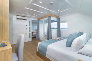 Galapagos Sea Star Balcony Suite