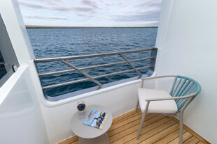 Galapagos Sea Star Balcony