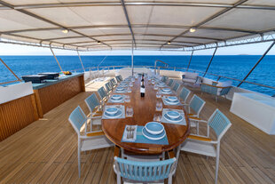Galapagos Sea Star Al Fresco Dining