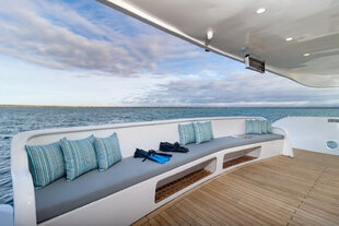 Galapagos Sea Star Porch