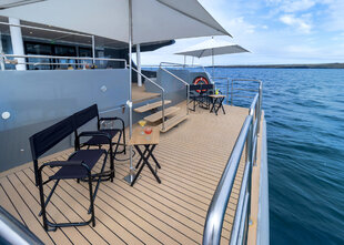 Tribute's Swimming Platform