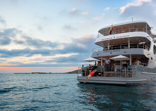 Swimming off Tribute's Aft Deck