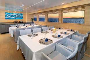 Tribute's Dining Area