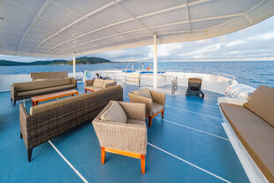 Sun Deck