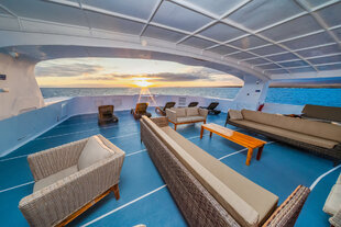 Sun Deck