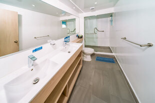 Owner's Suite: Bathroom