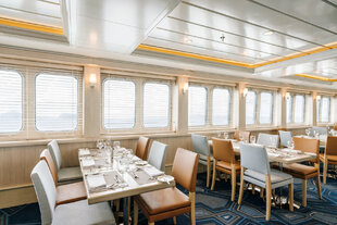 Beagle Restaurant. Santa Cruz II, Clara Tuma