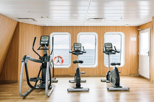Gym, Santa Cruz III, Clara Tuma