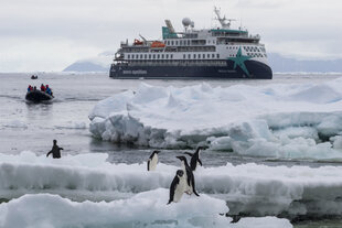 Douglas Mawson at Cape Adare - Scott Portelli