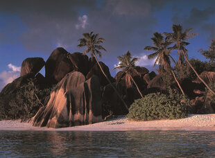 A granite island beach with palm trees in the Seychelles