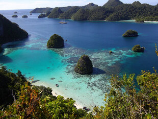 Raja Ampat in Indonesia - I Wilson