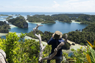 Viewpoint on Misool Island - C Finch