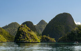 Zodiac Cruise in Raja Ampat - S Bradley