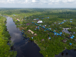 Asmat Villages in Indonesia - C Finch