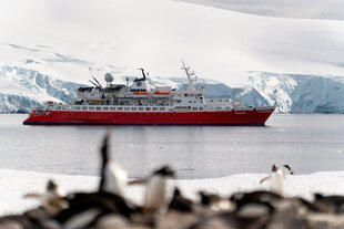 MS Expedition in Gerlache Strait, Antarctica