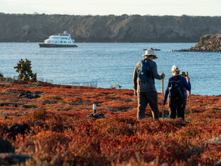 Delfina Catamaran, Linblad Expeditions