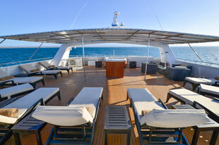 Delfina Observation Deck, Linblad Expeditions