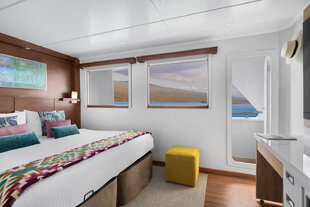 Delfina Category 5 Cabin, Linblad Expeditions