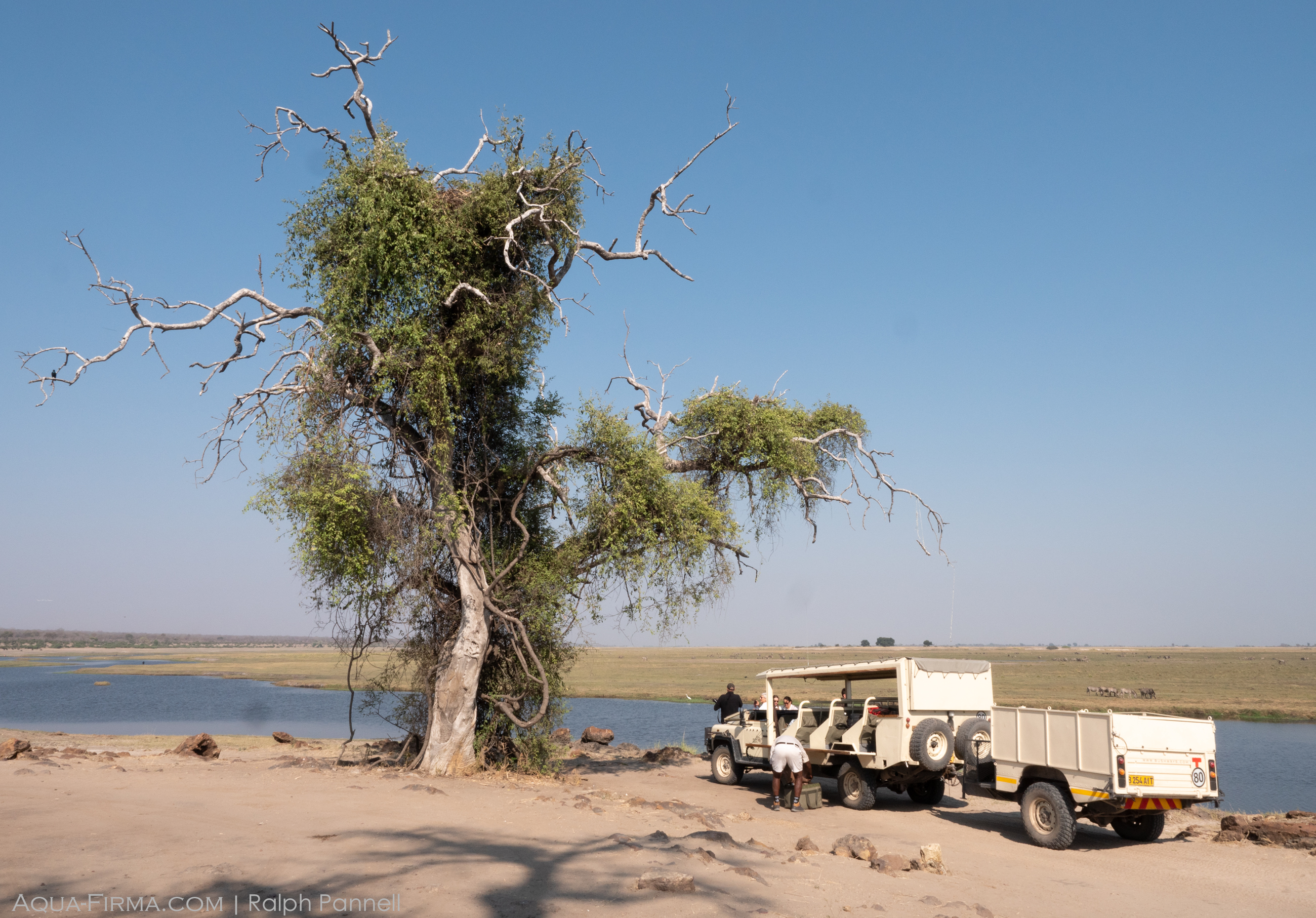 Botswana Mobile Tented Safaris Chobe River