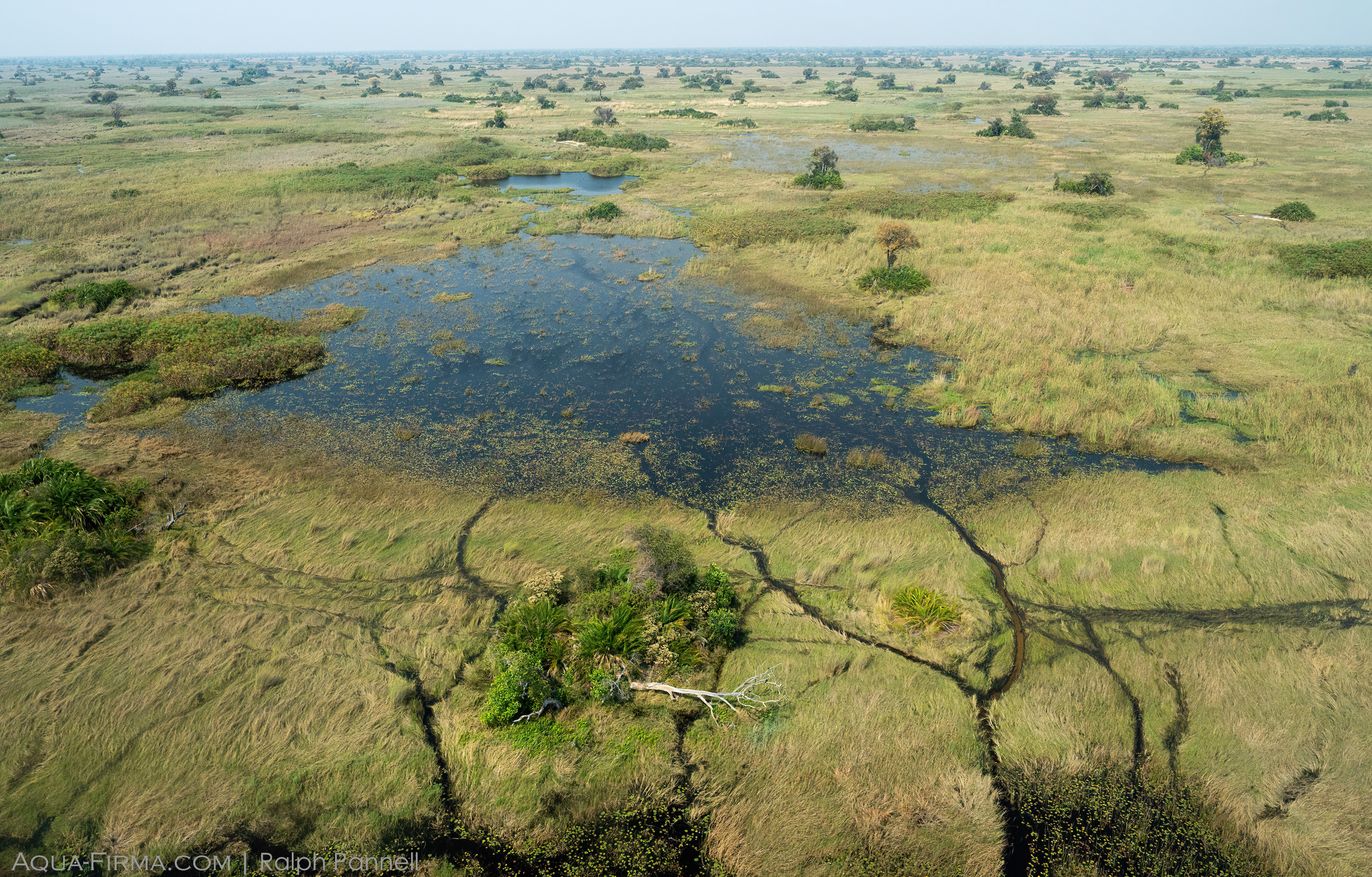 Aerial view over the Okavango River Delta