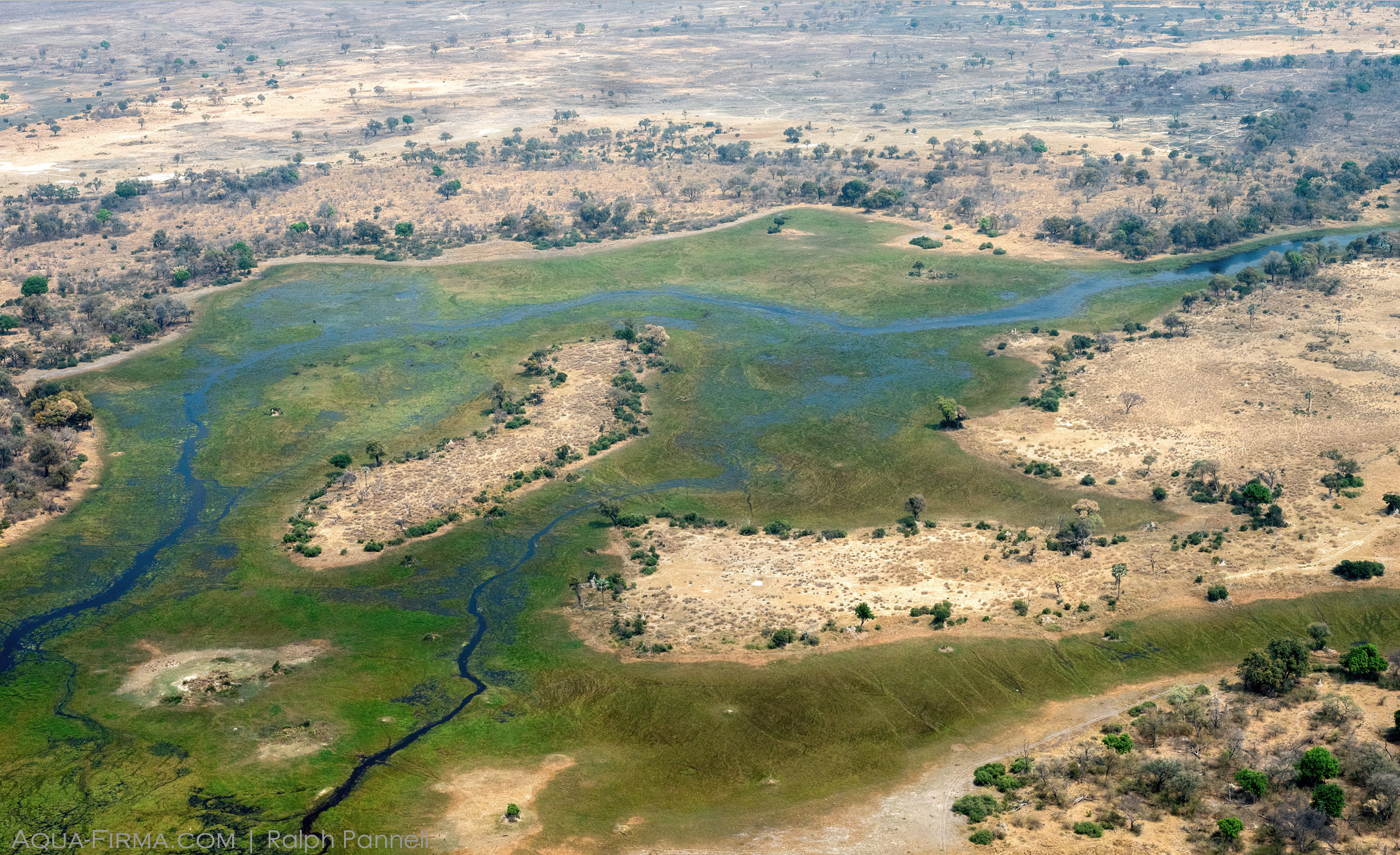 Okavango Delta meets Savannah of Khwai