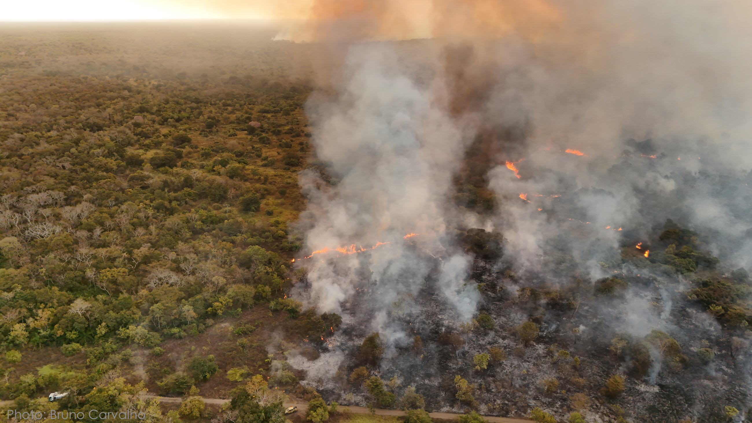 Pantanal on Fire