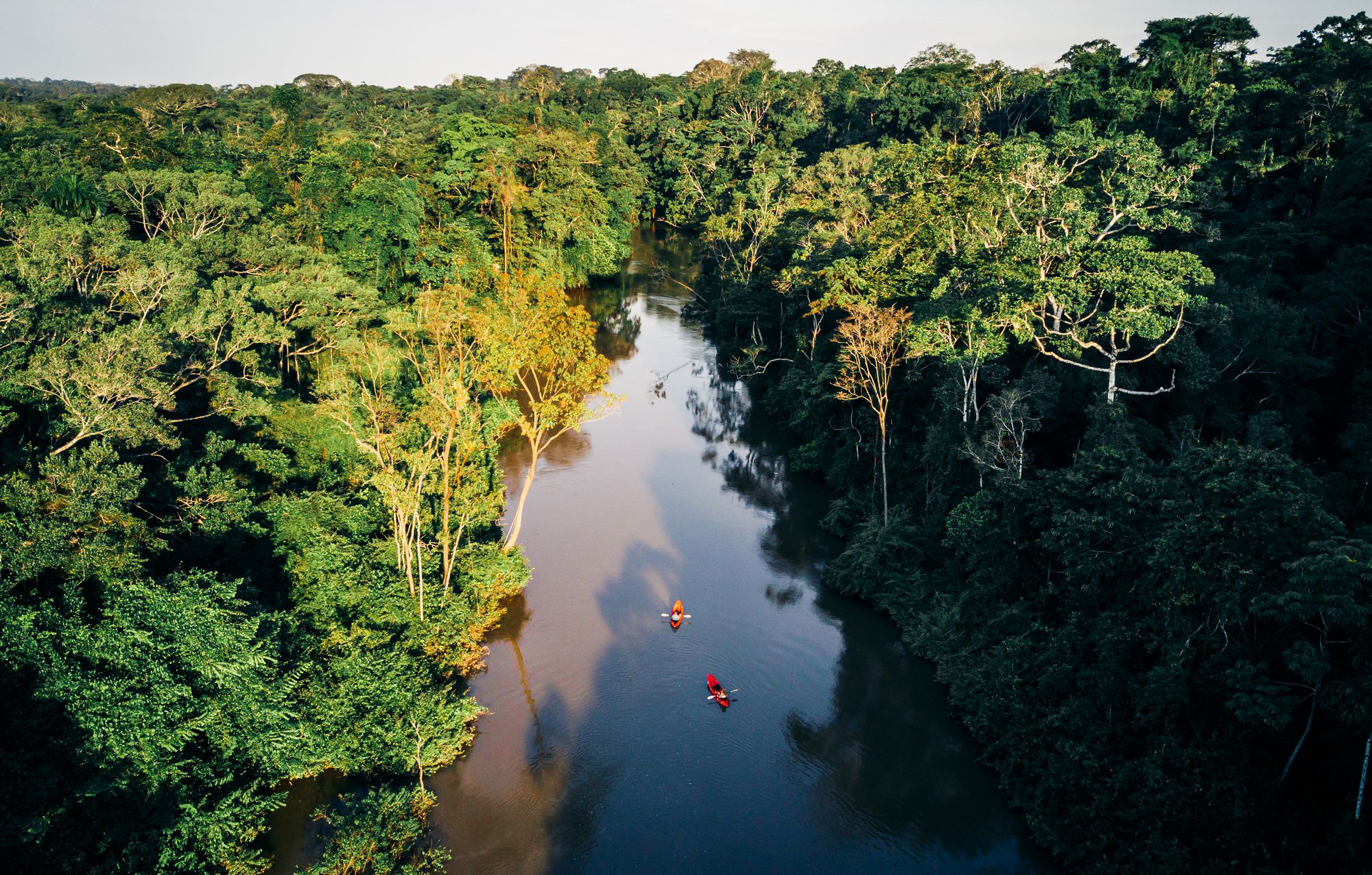 Kayaking through Amazon rainforest wilderness in Ecuador