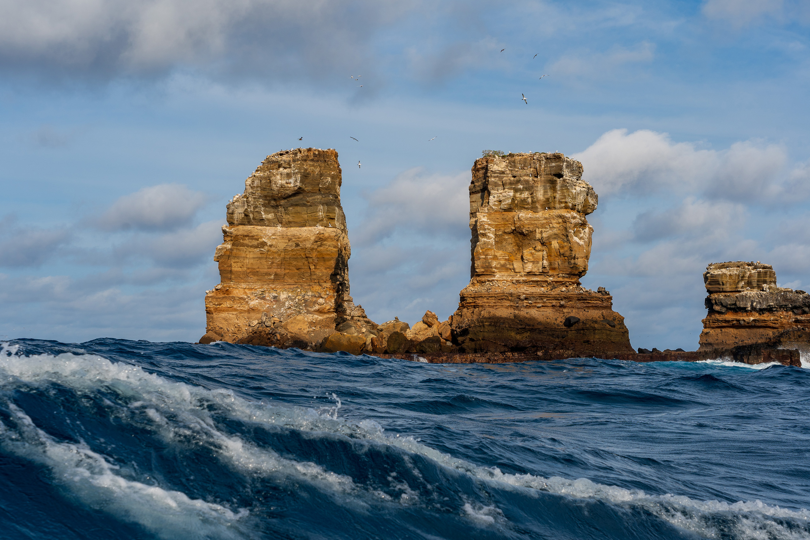 Darwin's Pillars Galapagos Darwin Island Craig Oxley