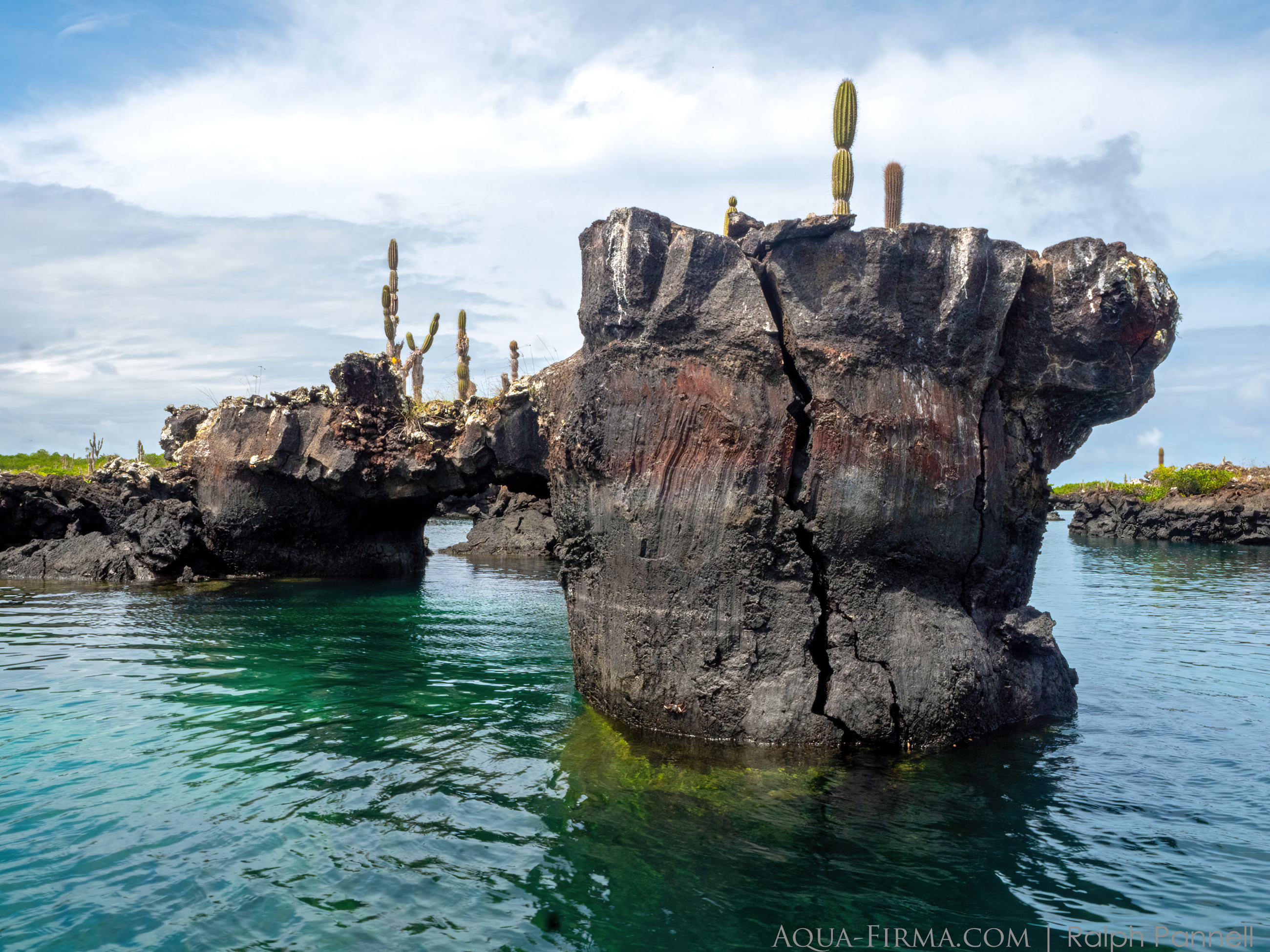 Galapagos lava island los Tuneles Isabela