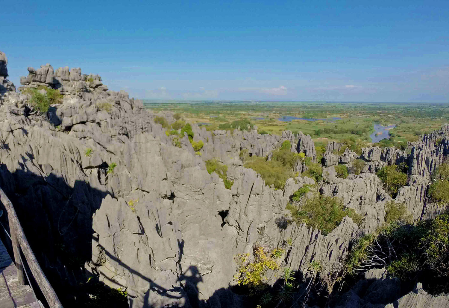 Ankarana Special Reserve Tsingy Limestone Karst Scenery
