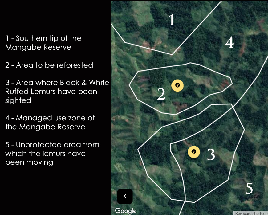 Distribution Map Black and White Ruffed Lemurs Varecia variegata