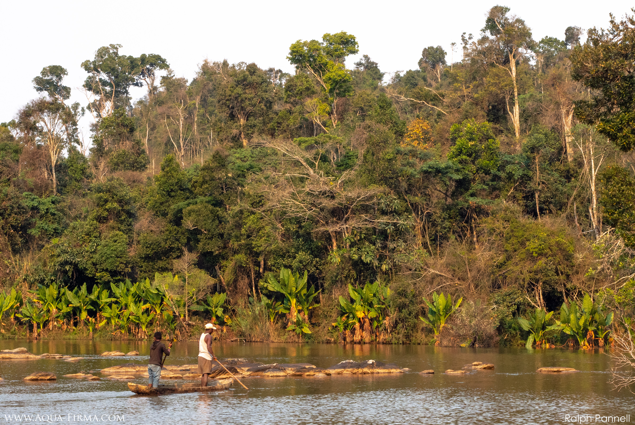 Madagascar Rainforest by Pirogue across river